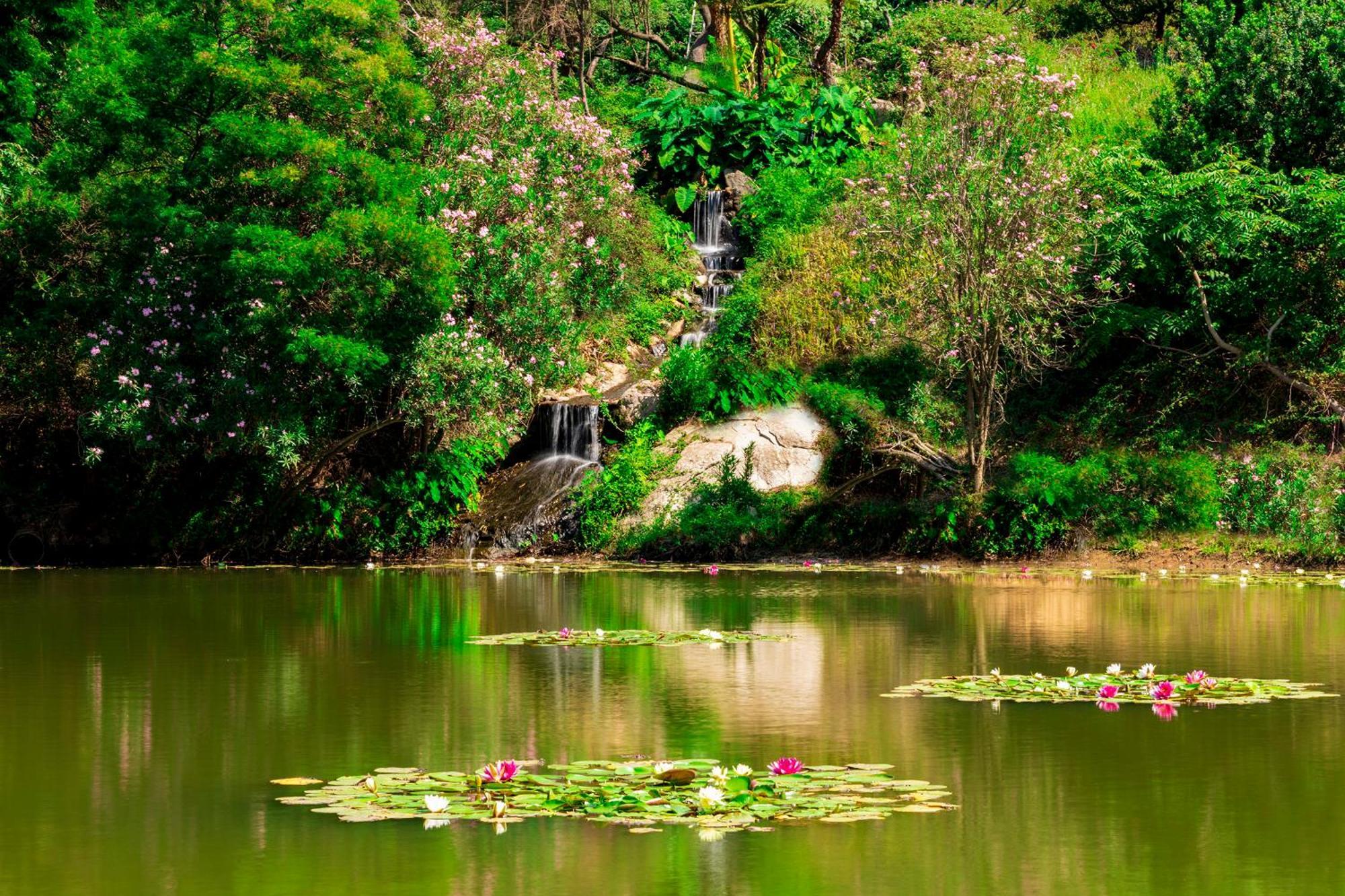 Park - Telis
