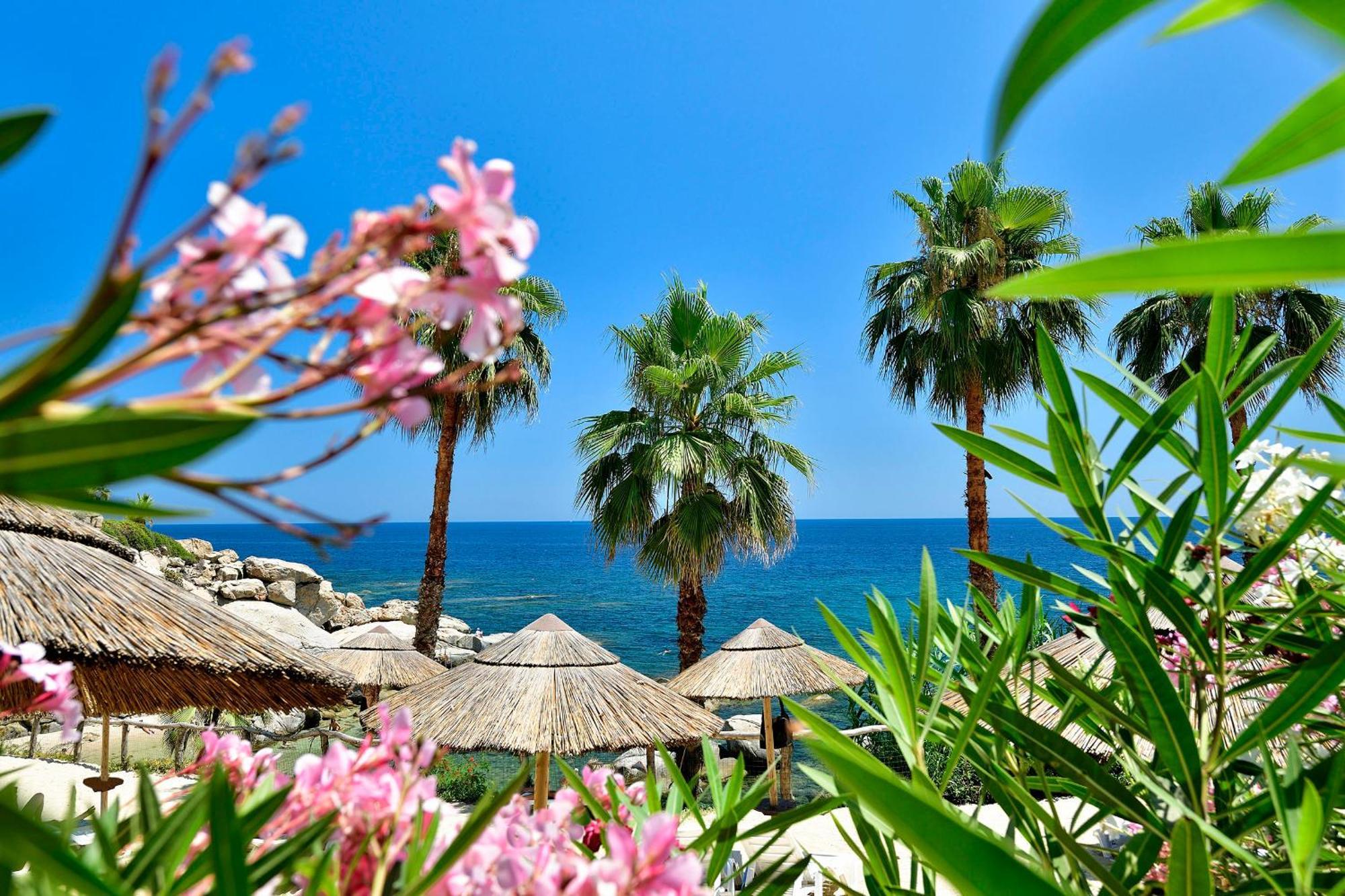 Park - Telis 4*